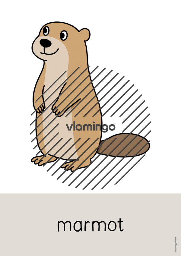 de englisch forest word and picture cards 058