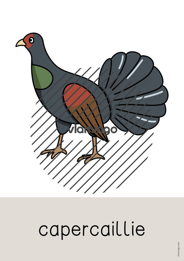 de englisch forest word and picture cards 062