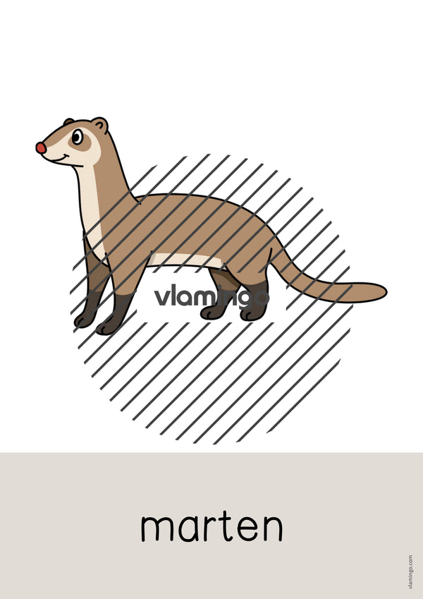 de englisch forest word and picture cards 065