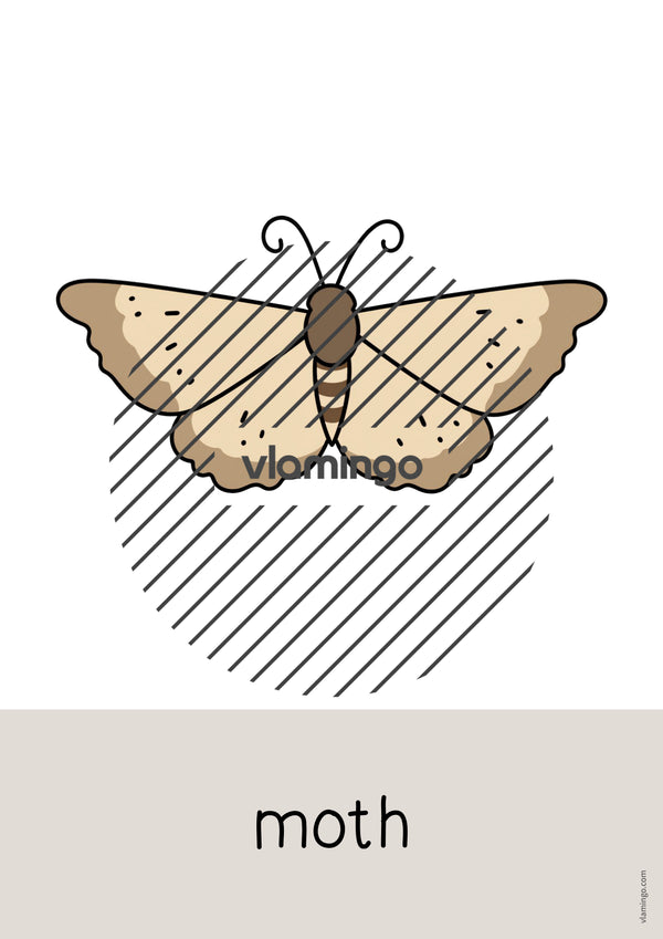 de englisch forest word and picture cards 066