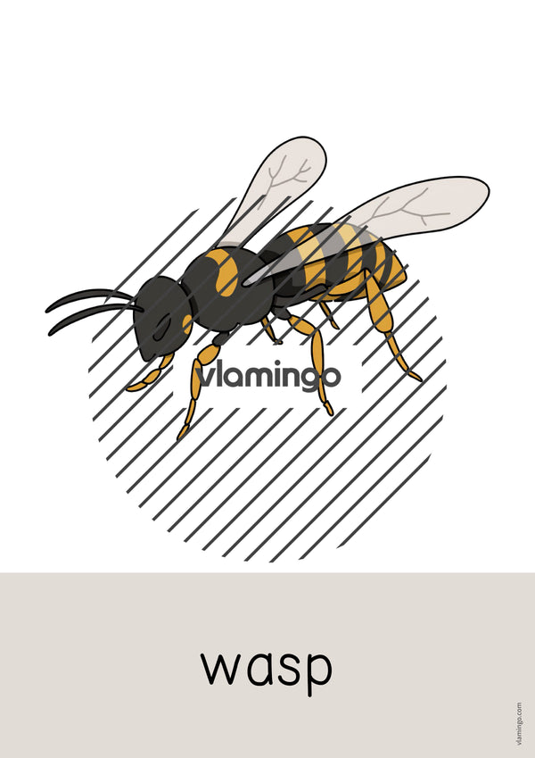 de englisch forest word and picture cards 069