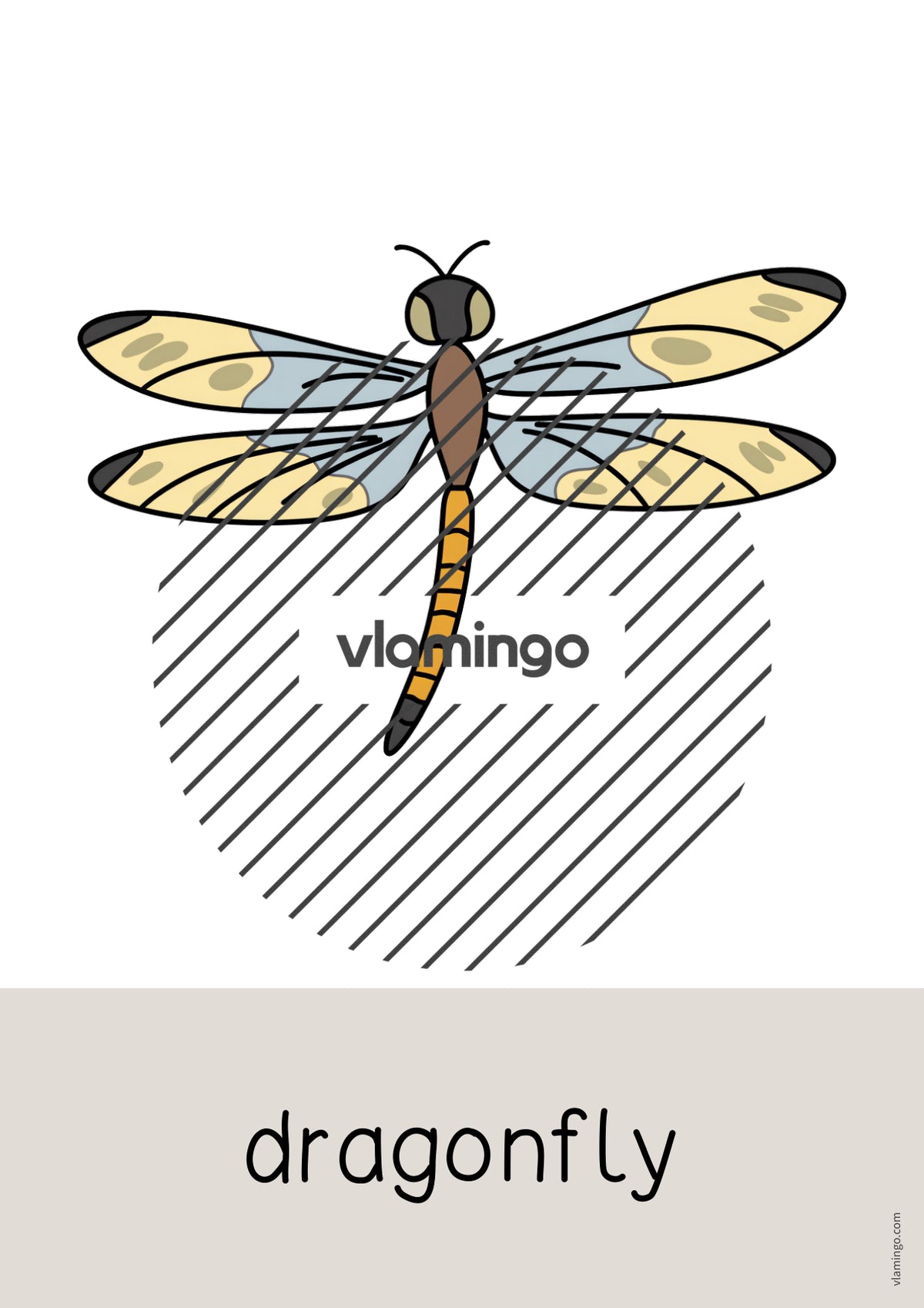 de englisch forest word and picture cards 070