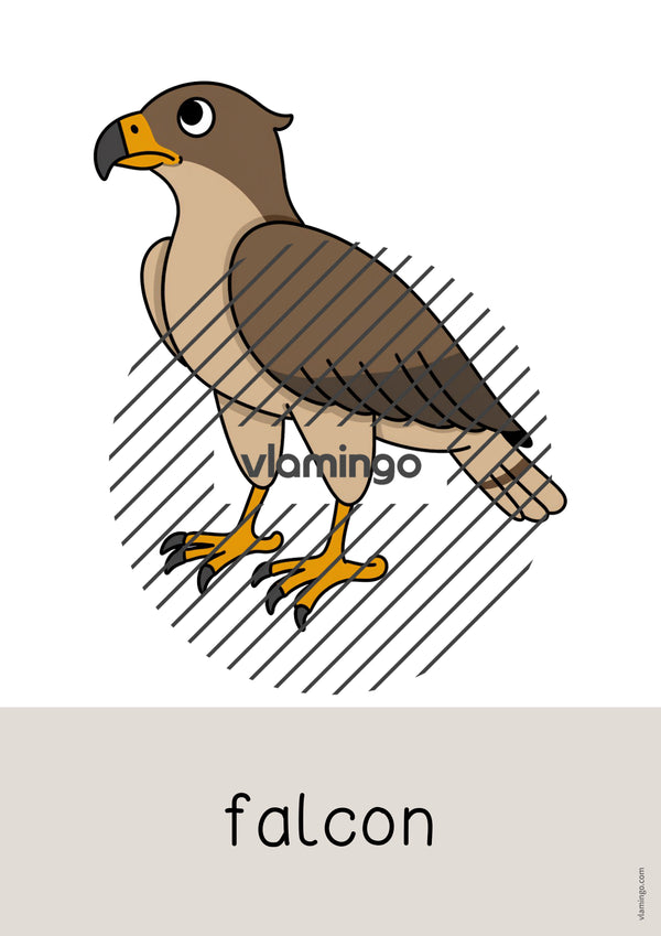de englisch forest word and picture cards 072