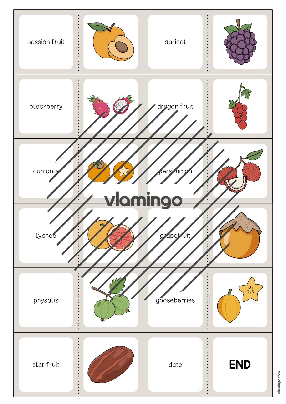 de englisch fruits domino 005