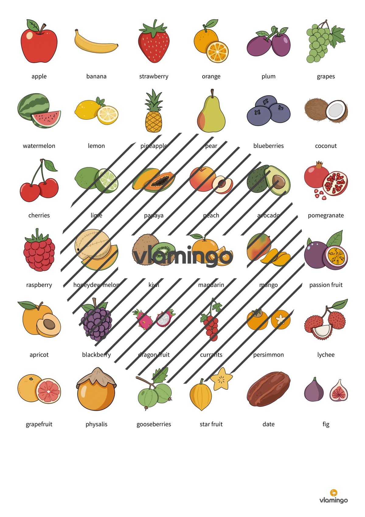 de englisch fruits education lotto 006