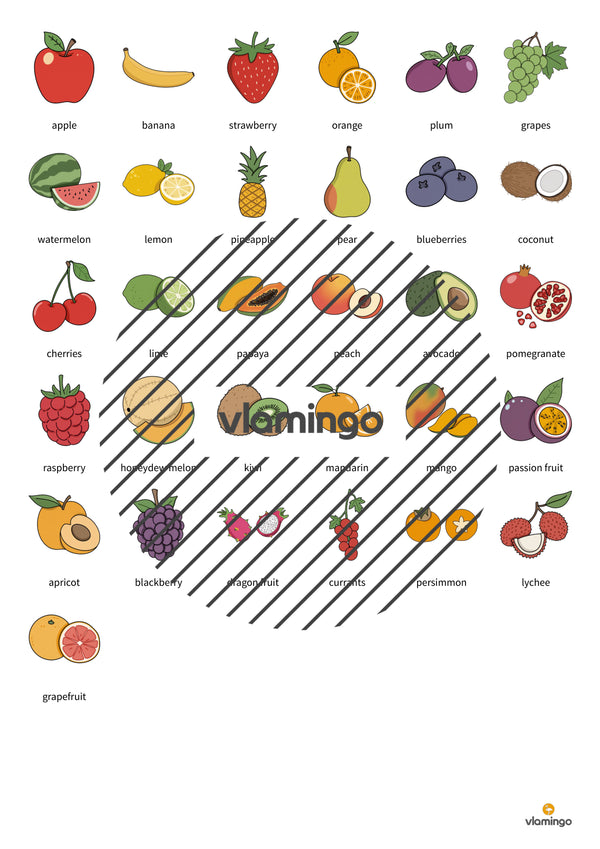 de englisch fruits match 013