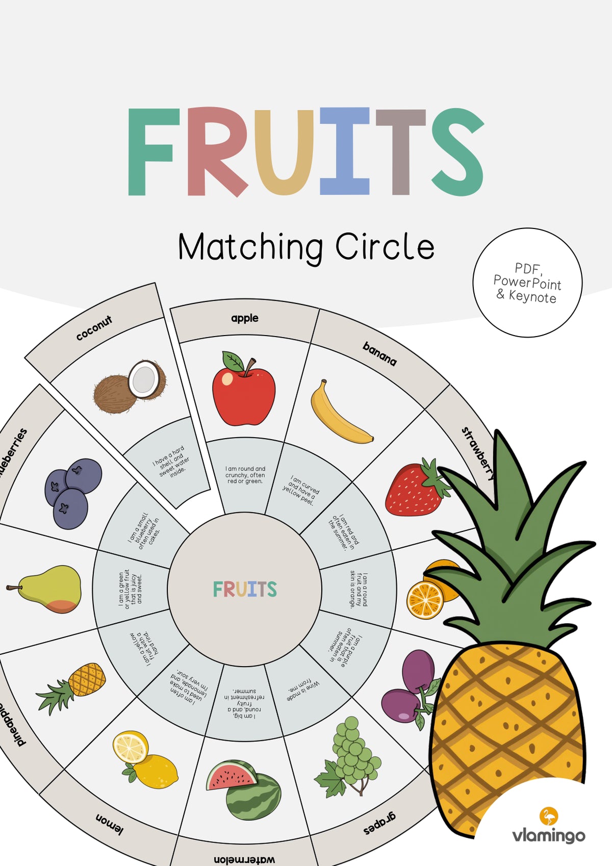 de englisch fruits matching circle 001
