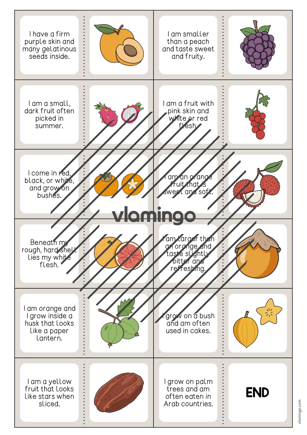 de englisch fruits reading domino 005