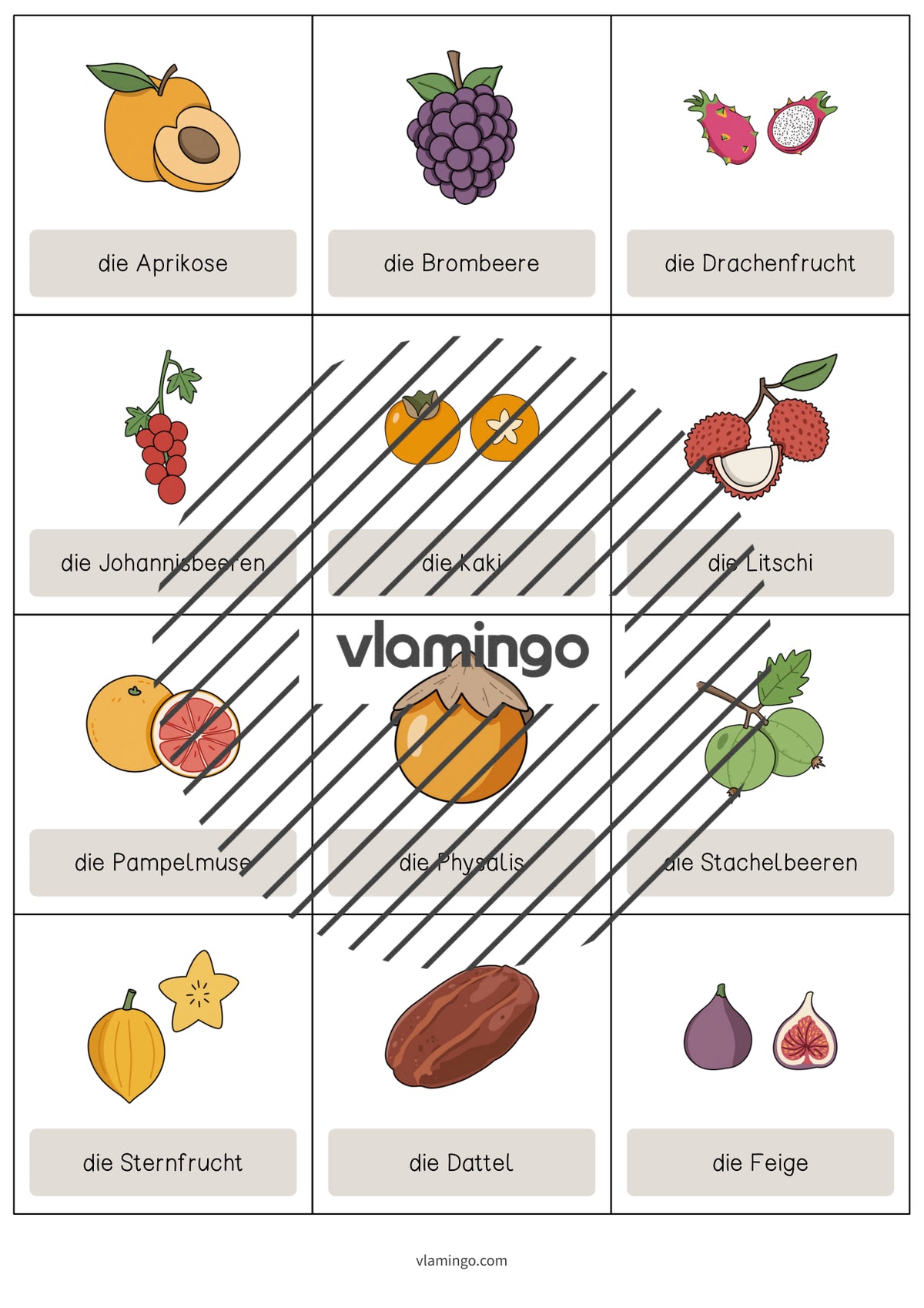 de englisch fruits vocabulary cards 007