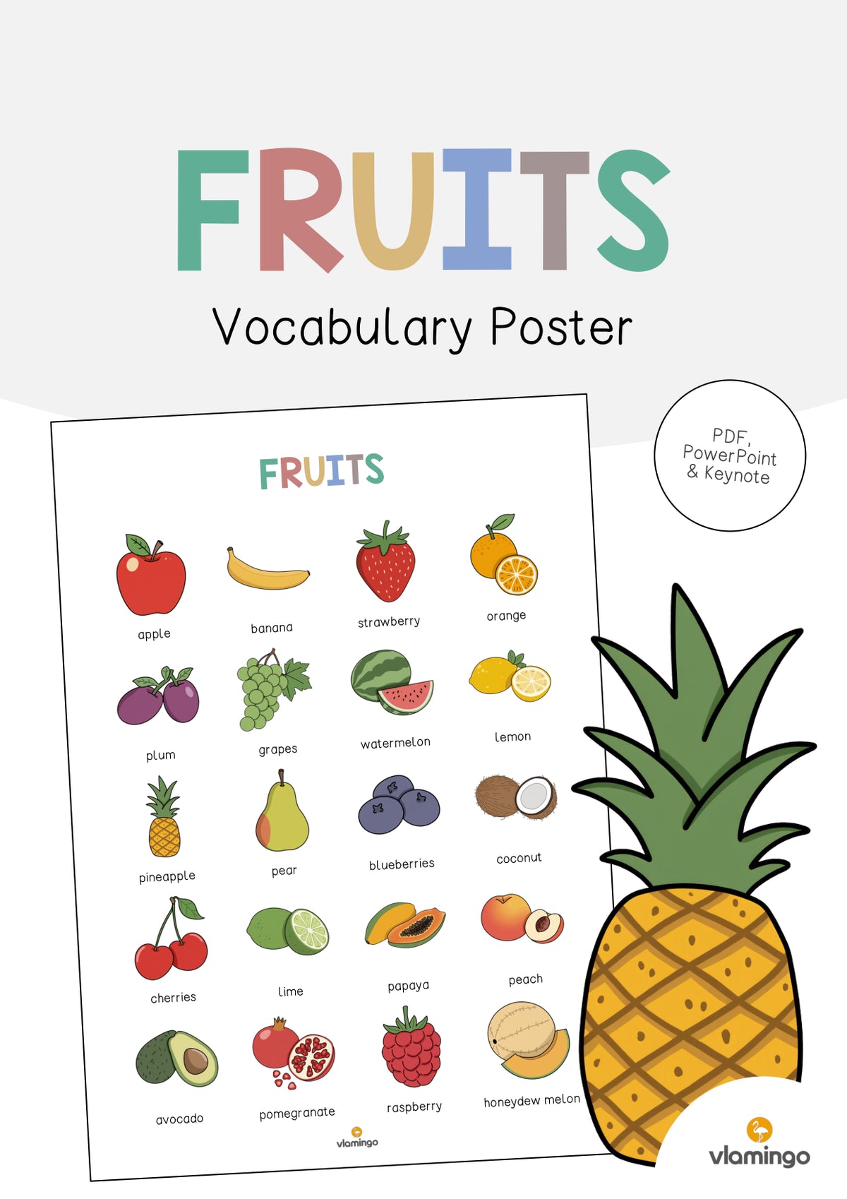 de englisch fruits vocabulary poster 001