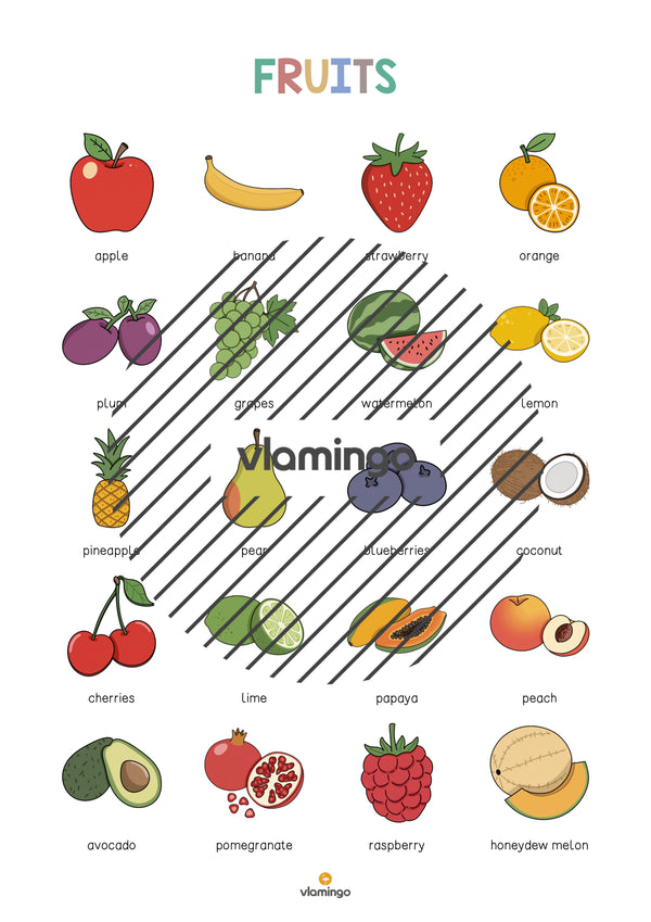 de englisch fruits vocabulary poster 003