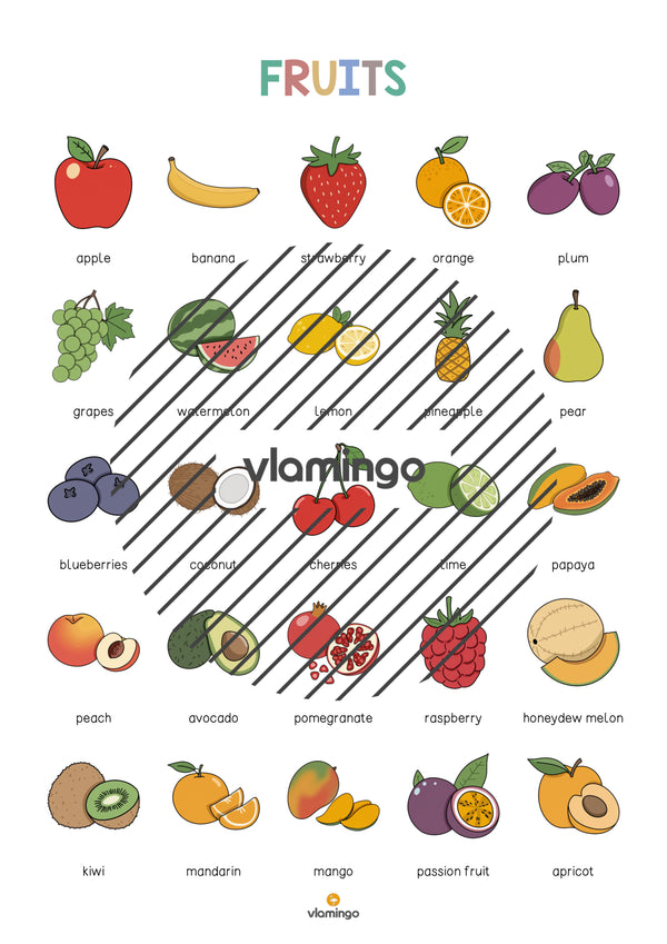 de englisch fruits vocabulary poster 004