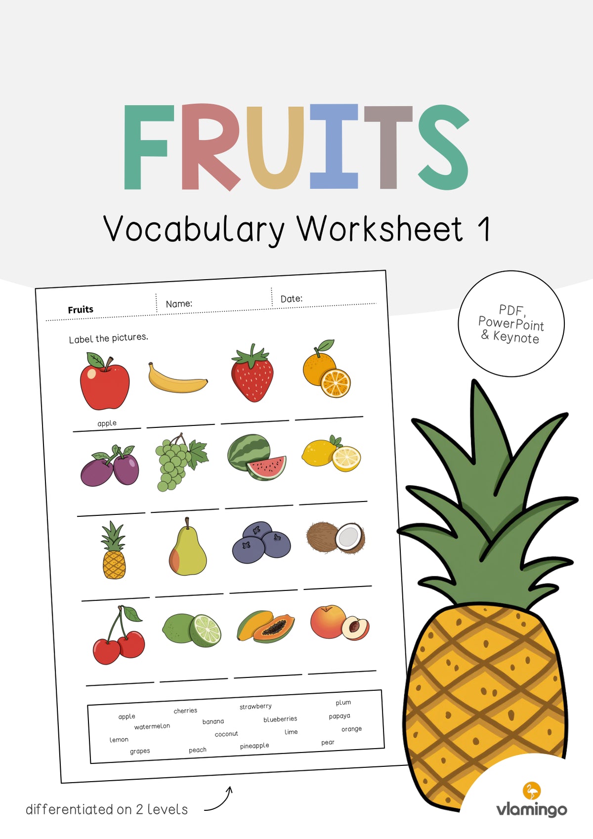 de englisch fruits vocabulary worksheet 1 001