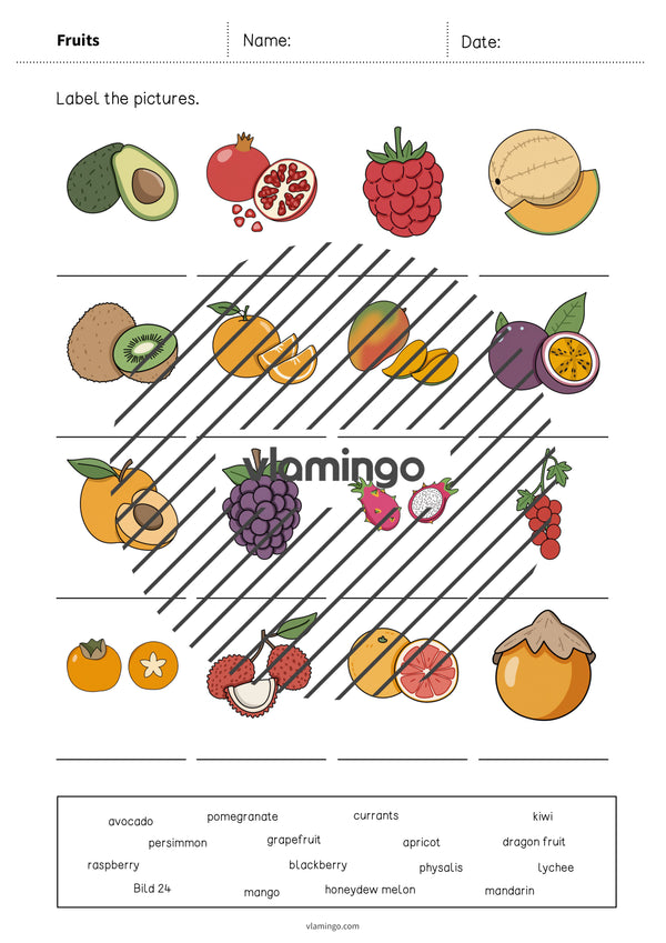 de englisch fruits vocabulary worksheet 1 005