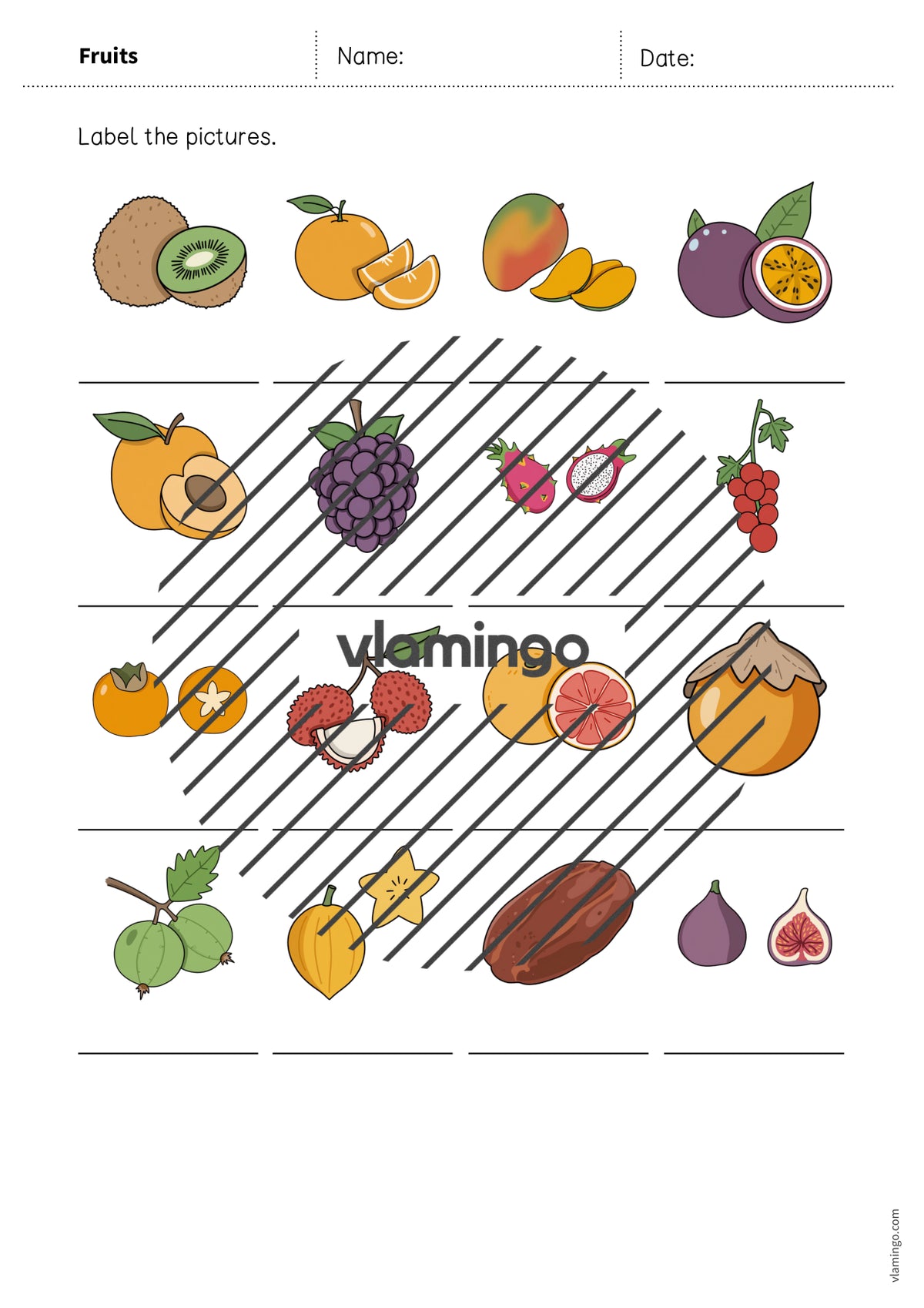 de englisch fruits vocabulary worksheet 1 008