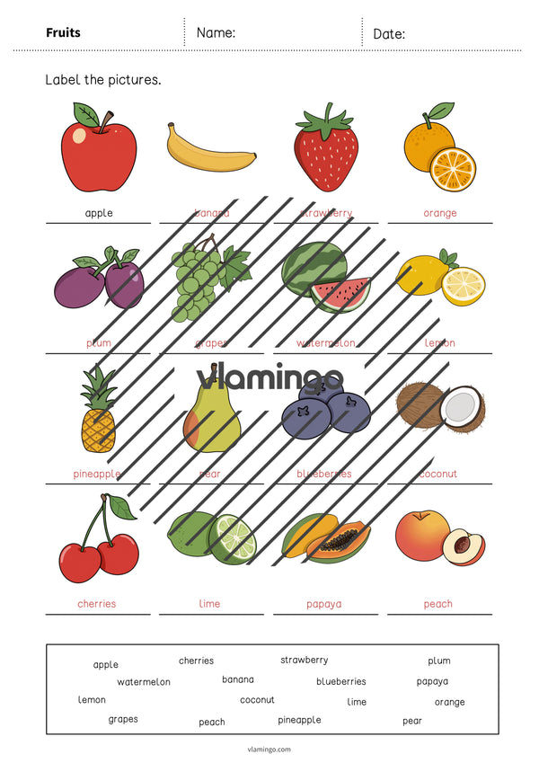 de englisch fruits vocabulary worksheet 1 010