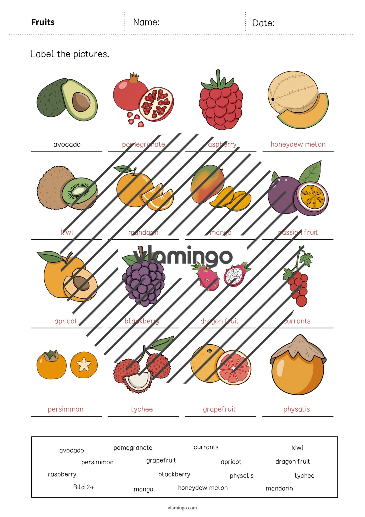 de englisch fruits vocabulary worksheet 1 011