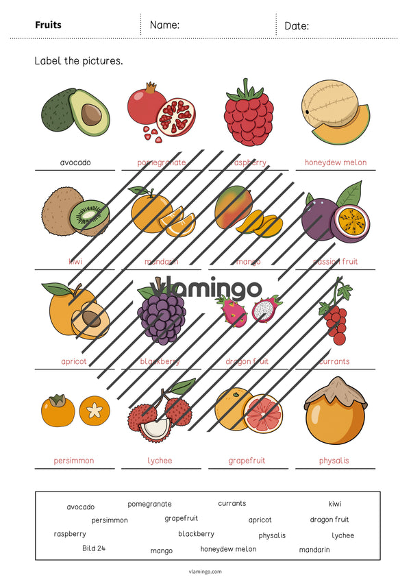 de englisch fruits vocabulary worksheet 1 011