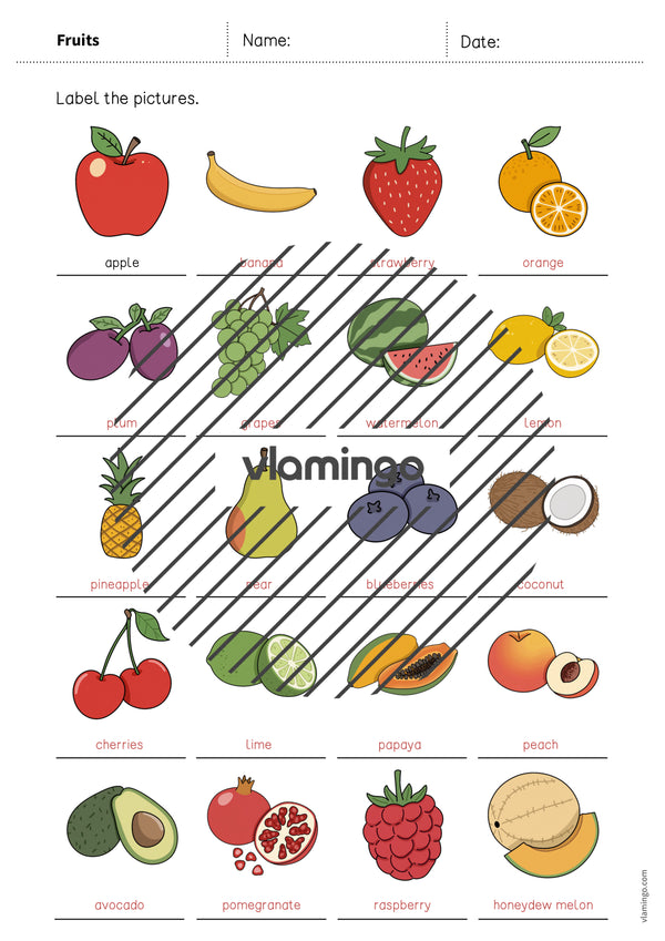 de englisch fruits vocabulary worksheet 1 012