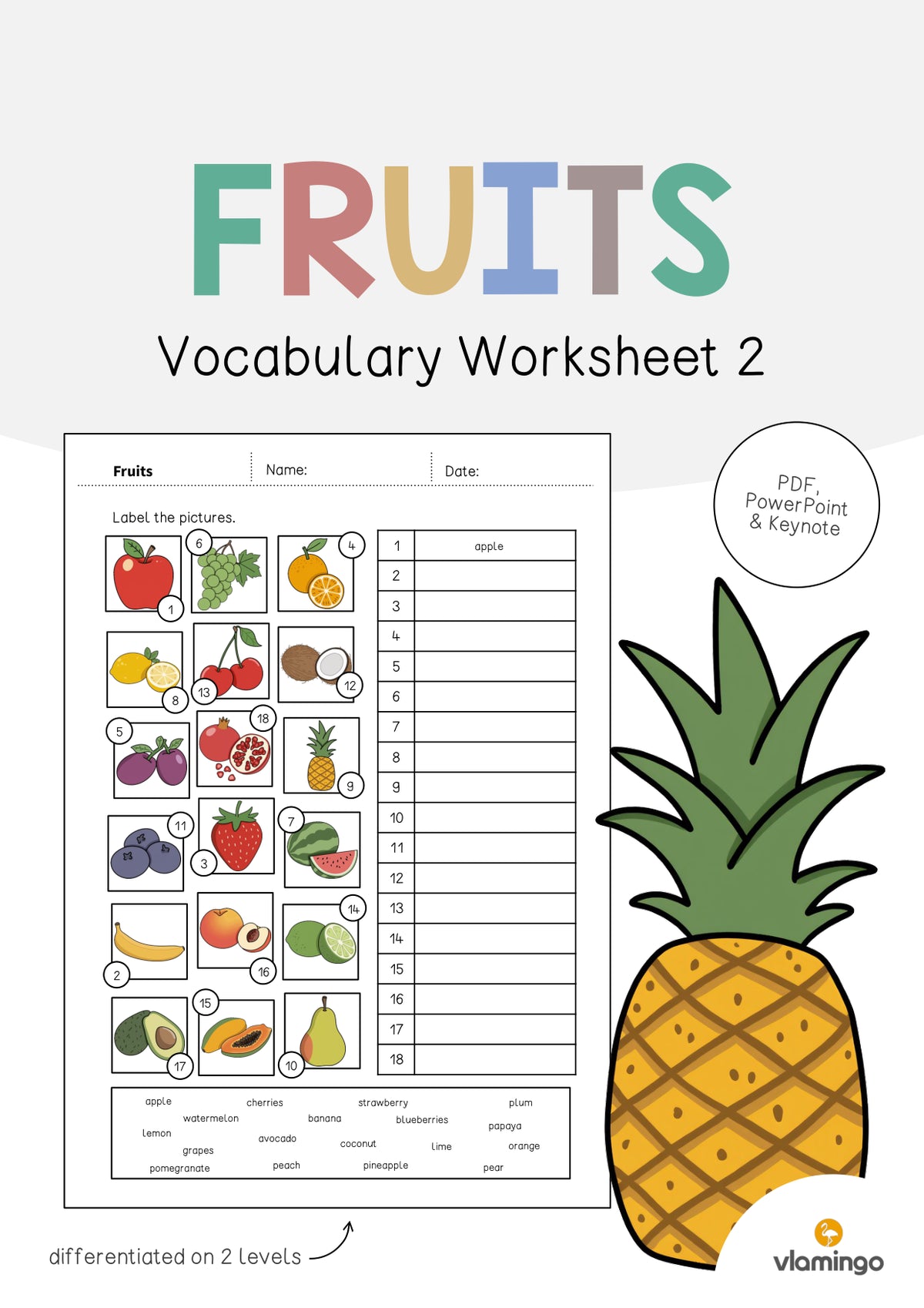 de englisch fruits vocabulary worksheet 2 001