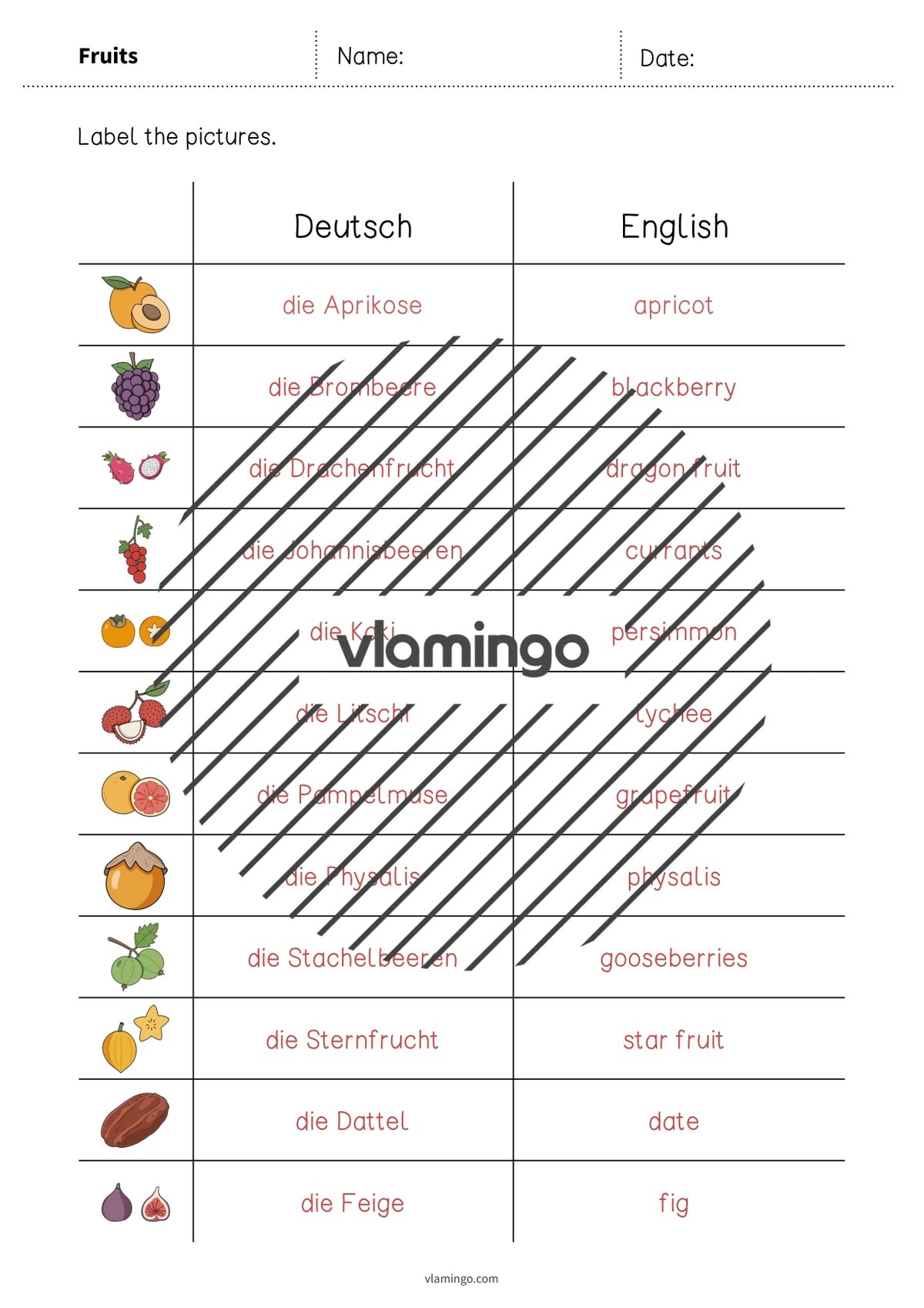 de englisch fruits vocabulary worksheet 3 009
