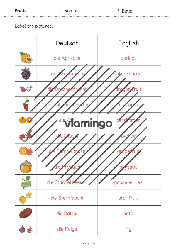 de englisch fruits vocabulary worksheet 3 009
