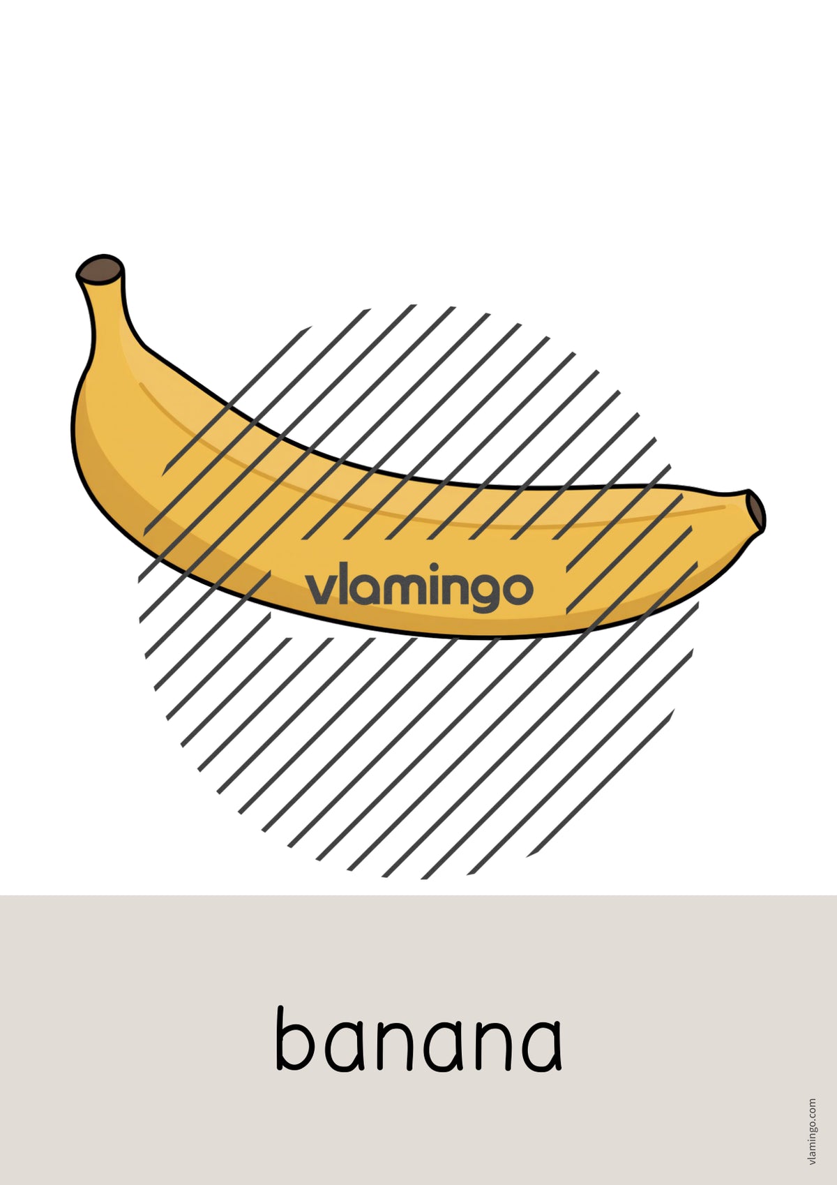 de englisch fruits word and picture cards 004