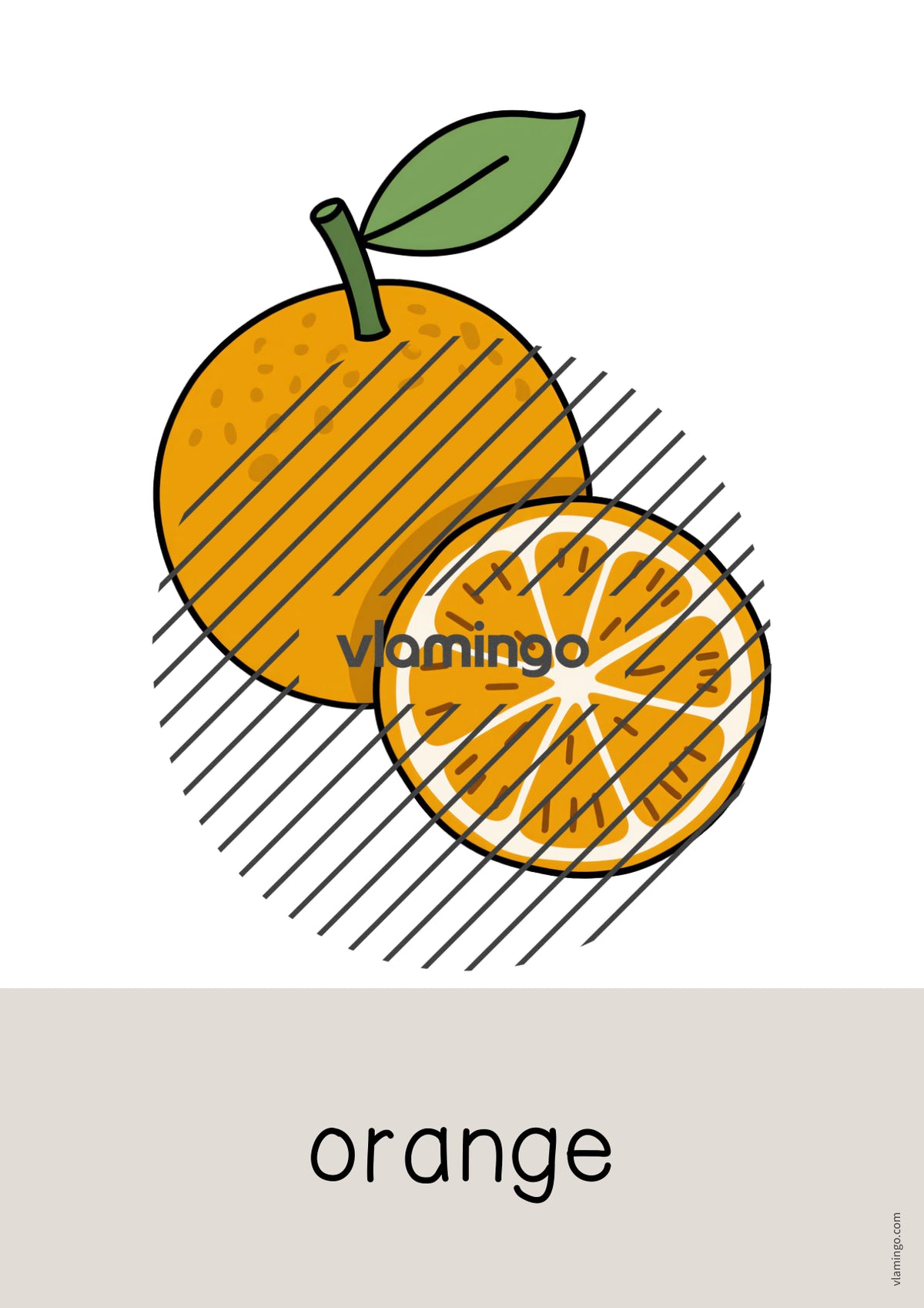 de englisch fruits word and picture cards 006