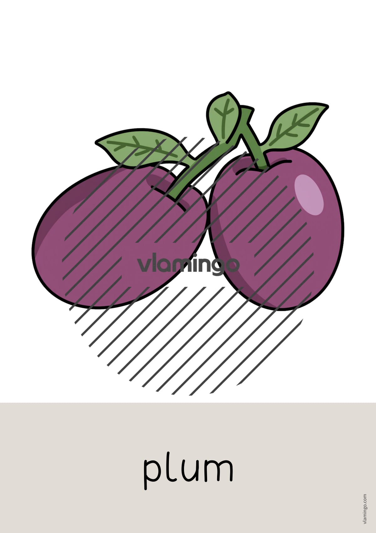 de englisch fruits word and picture cards 007