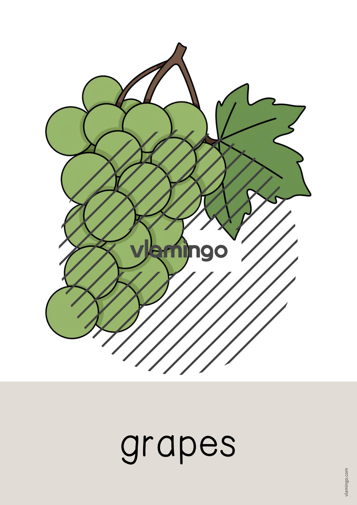 de englisch fruits word and picture cards 008