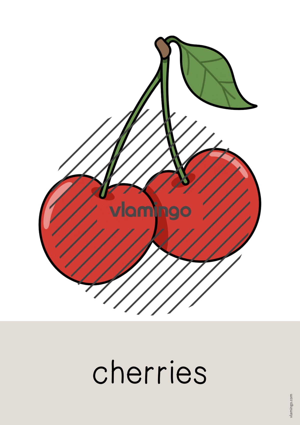 de englisch fruits word and picture cards 015
