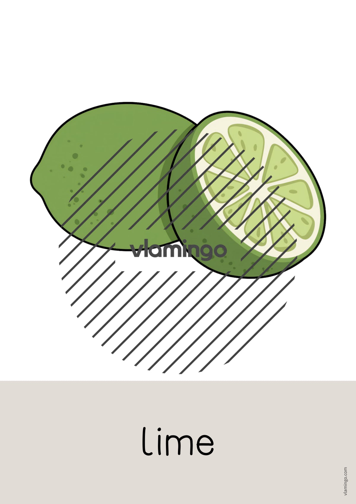 de englisch fruits word and picture cards 016