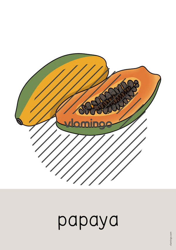 de englisch fruits word and picture cards 017