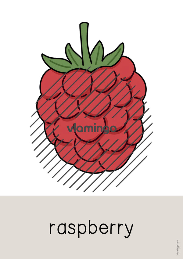 de englisch fruits word and picture cards 021