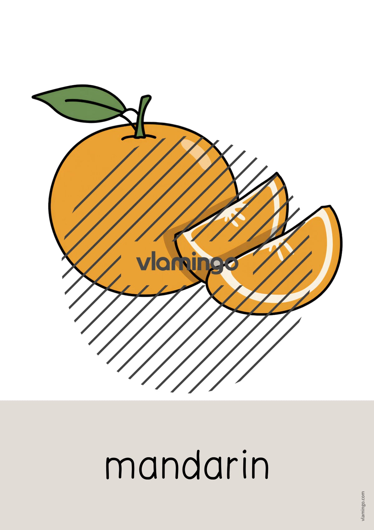 de englisch fruits word and picture cards 024