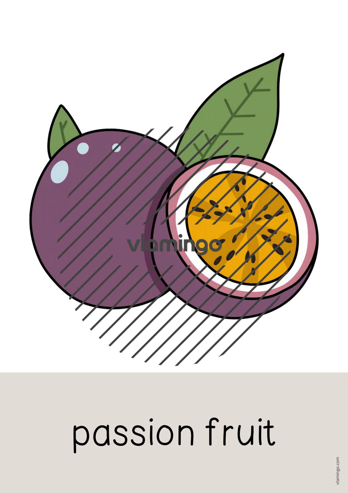 de englisch fruits word and picture cards 026