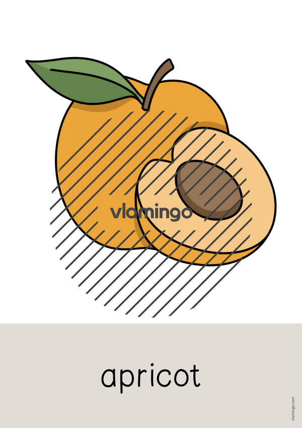 de englisch fruits word and picture cards 027