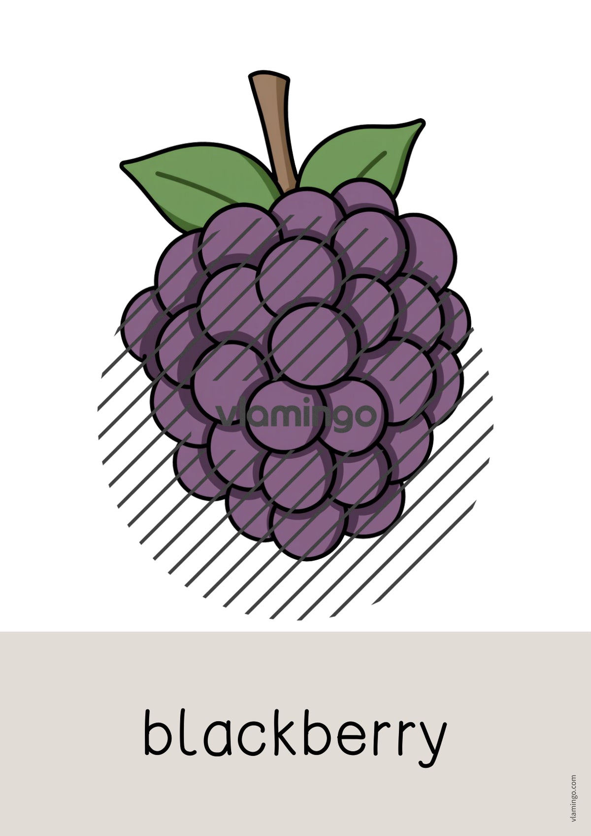 de englisch fruits word and picture cards 028