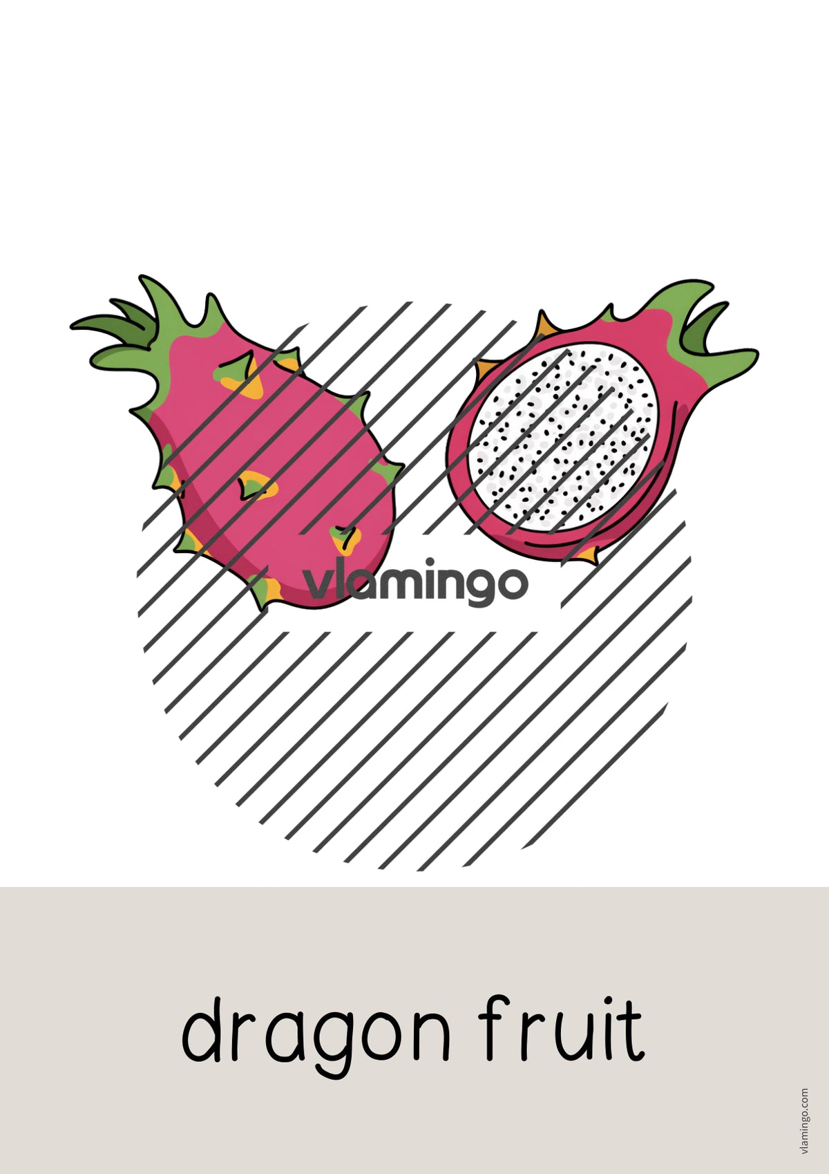de englisch fruits word and picture cards 029