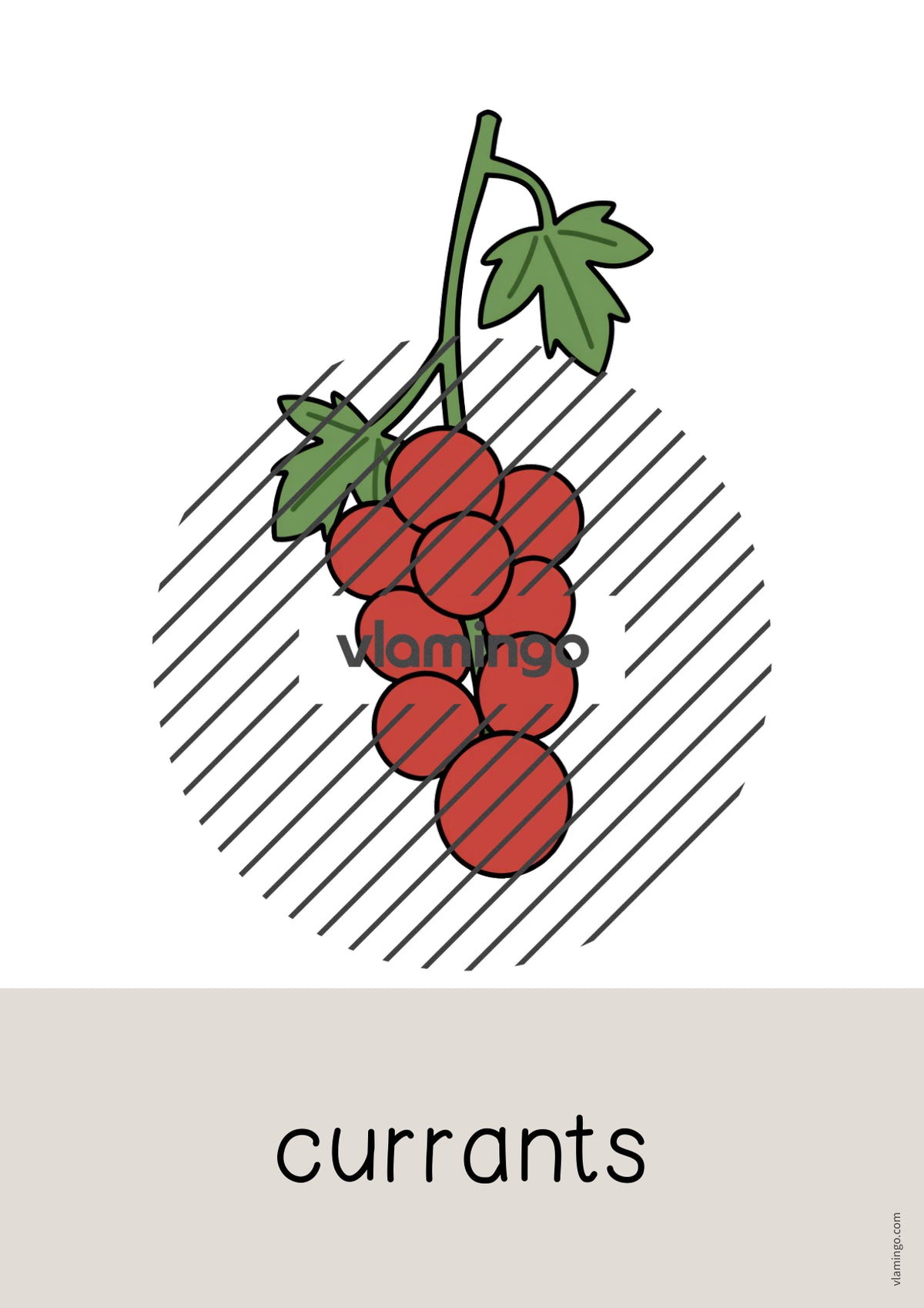 de englisch fruits word and picture cards 030