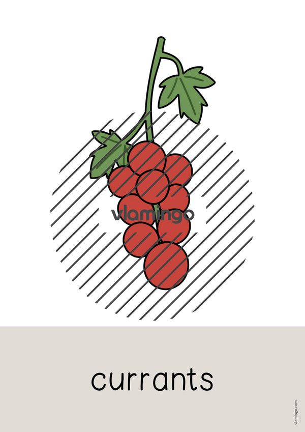 de englisch fruits word and picture cards 030