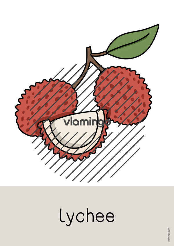 de englisch fruits word and picture cards 032
