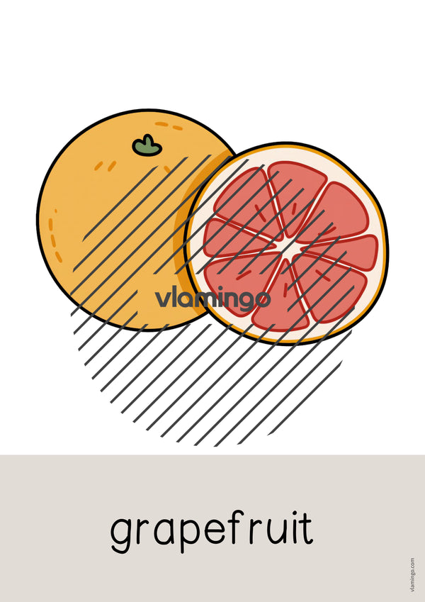de englisch fruits word and picture cards 033
