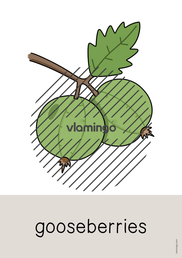 de englisch fruits word and picture cards 035