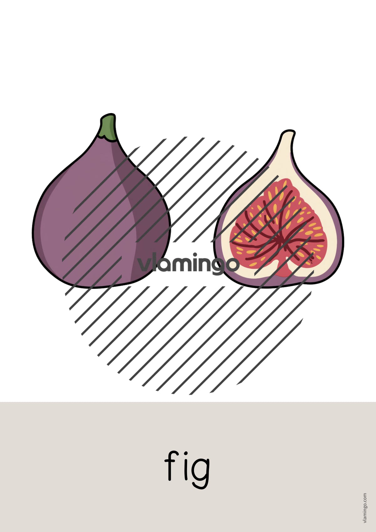 de englisch fruits word and picture cards 038