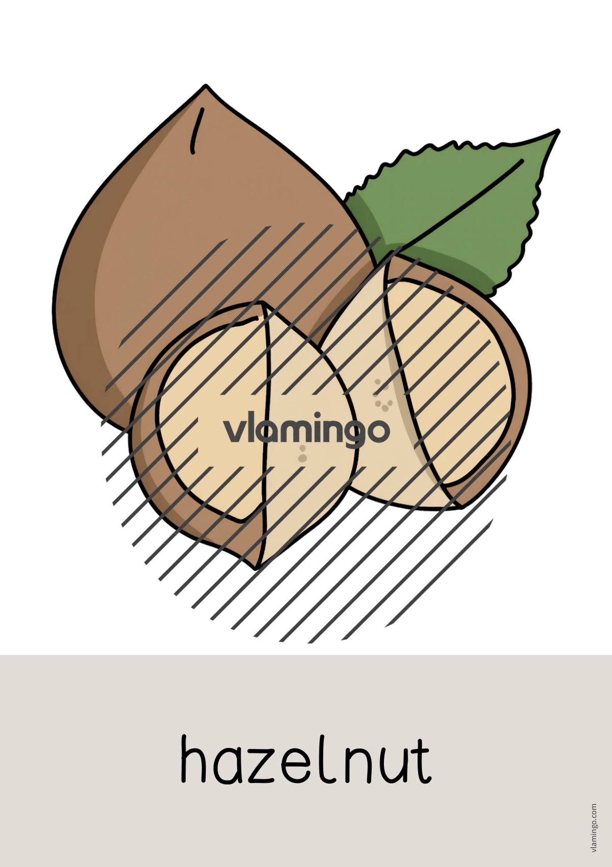 de englisch fruits word and picture cards 040