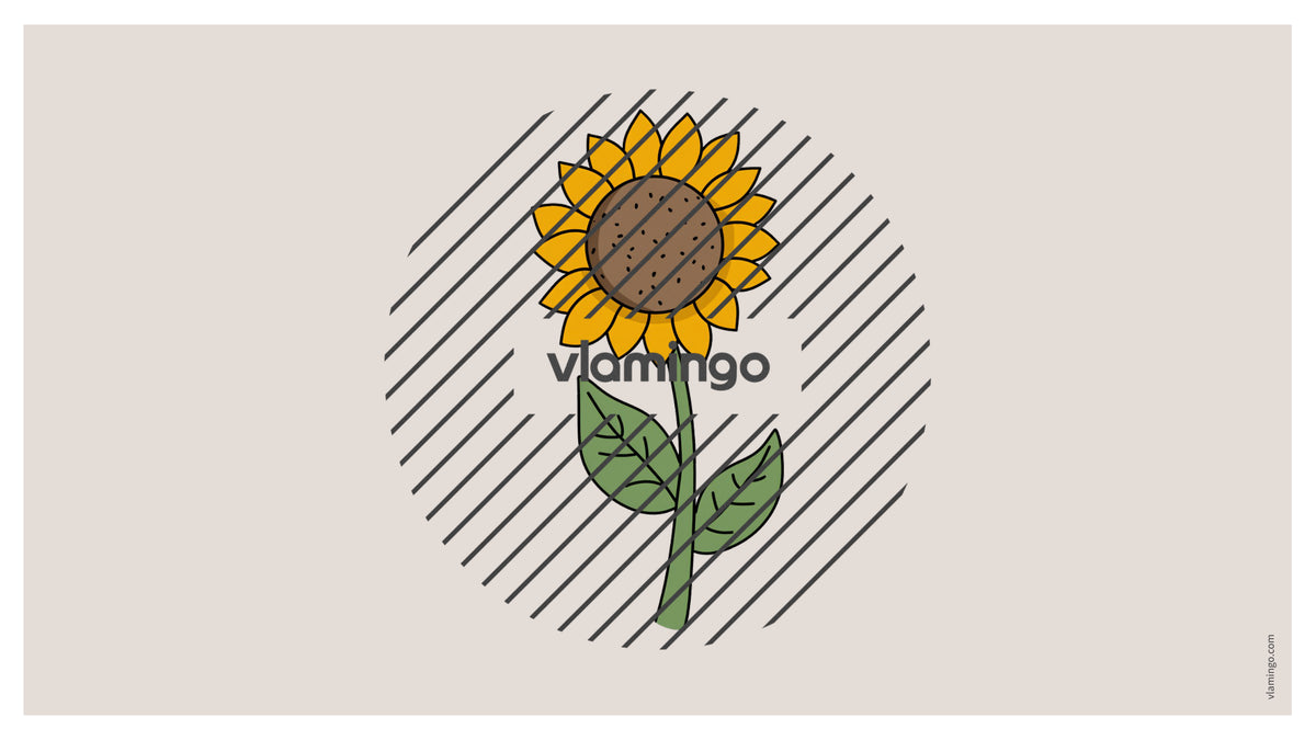 de englisch garden vocabulary fitness powerpoint 013