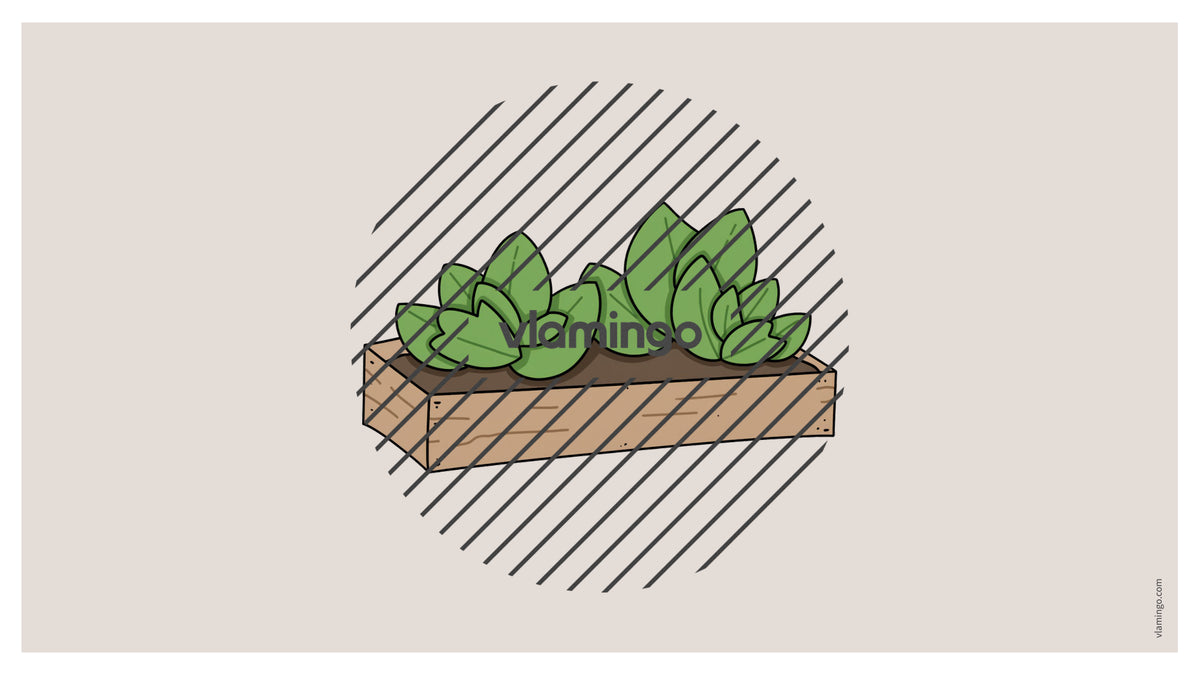 de englisch garden vocabulary fitness powerpoint 020