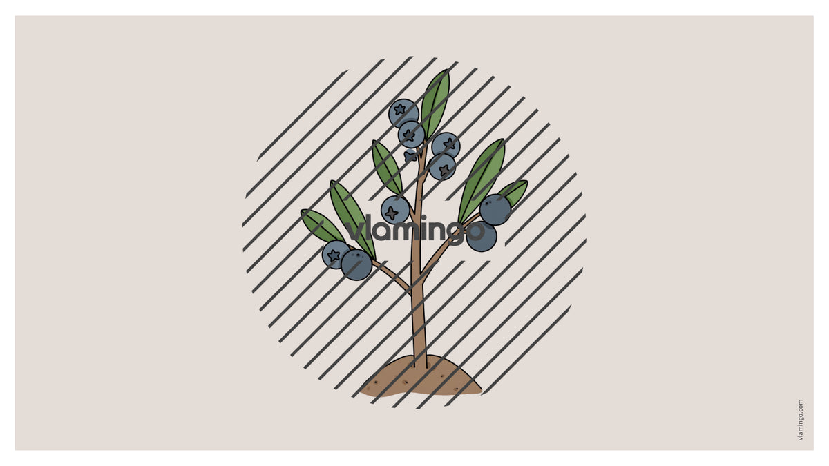 de englisch garden vocabulary fitness powerpoint 032