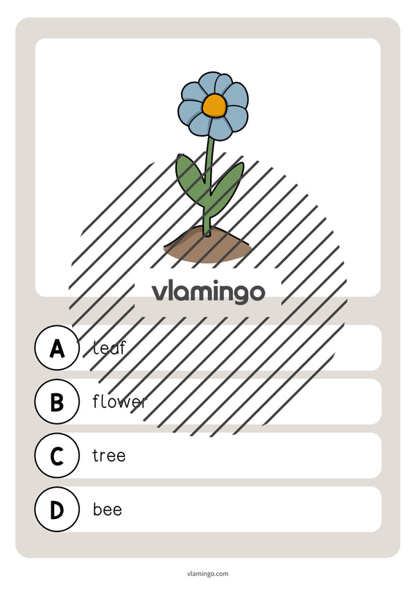 de englisch garden vocabulary quiz 005